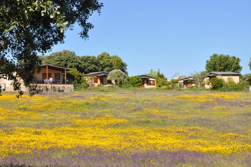 Maison d'hôtes La Cerca Del Alcornoque à Casas de Belvis Extérieur photo