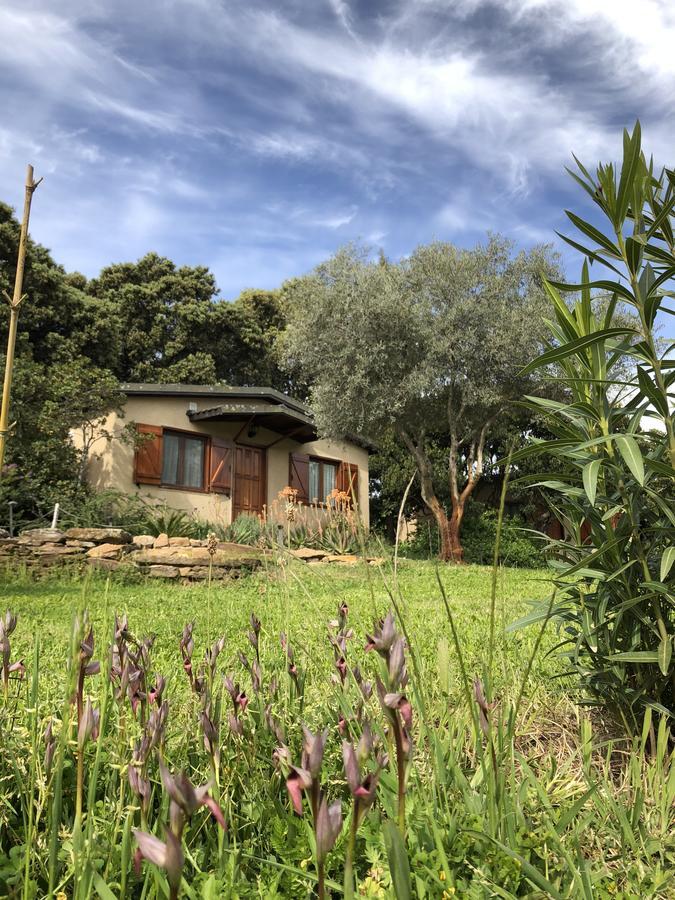 Maison d'hôtes La Cerca Del Alcornoque à Casas de Belvis Extérieur photo